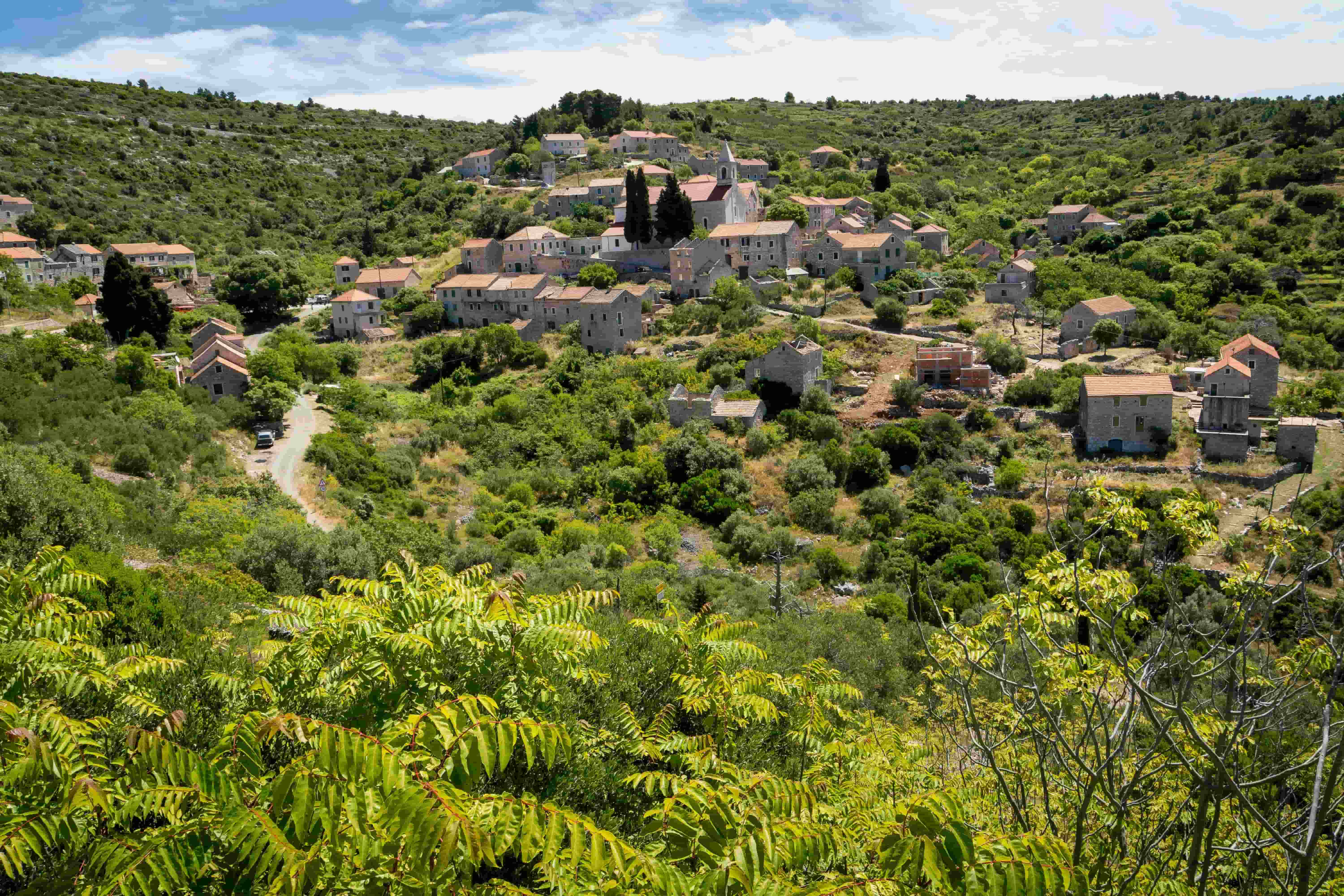 An estimated 1.5 million landmines were laid during the conflict — to hold, with metal buried in mud, what could not be held with men.