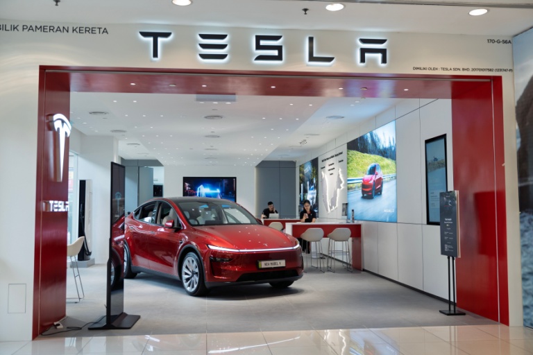 Tesla's valuation can only float on narrative for so long before EV market share numbers begin to tell a different story. Grok's 'truth-seeking' positioning can only survive until the model's documented inconsistencies become too loud to dismiss.