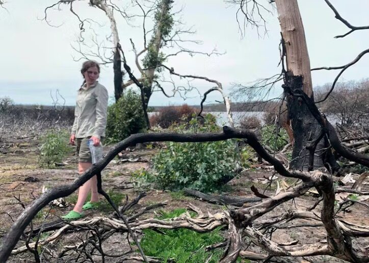 Lucinda Duxbury surveying the damage and the regrowth about a year after the fires, western Kangaroo Island.