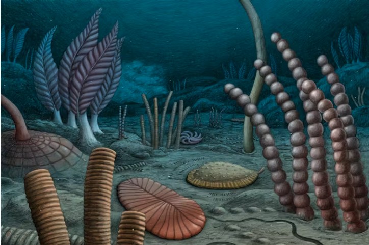 Reconstruction of a hypothetical deep-water paleocommunity from the new fossil site in Canada’s Northwest Territories, based on fossils recovered by the researchers.