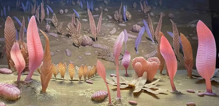 A reconstruction of an Ediacaran ecosystem.