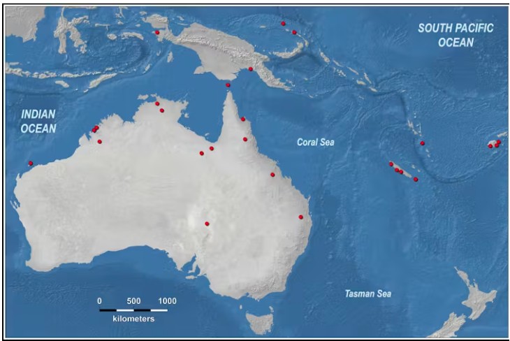 The remains of crocodiles have been found at sites across Australasia dated over the past 129,000 years.