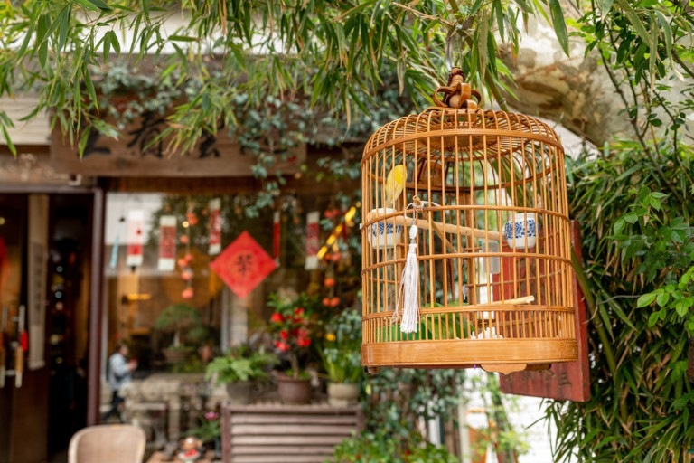 Bamboo birdcage with a songbird outside a teahouse in China.