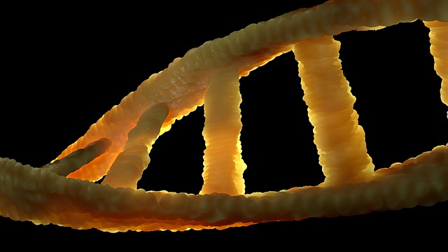 Evolution doesn’t require DNA, cells, or even biological life. It just needs information that can replicate, and a source of variation that affects how successfully the information replicates.
