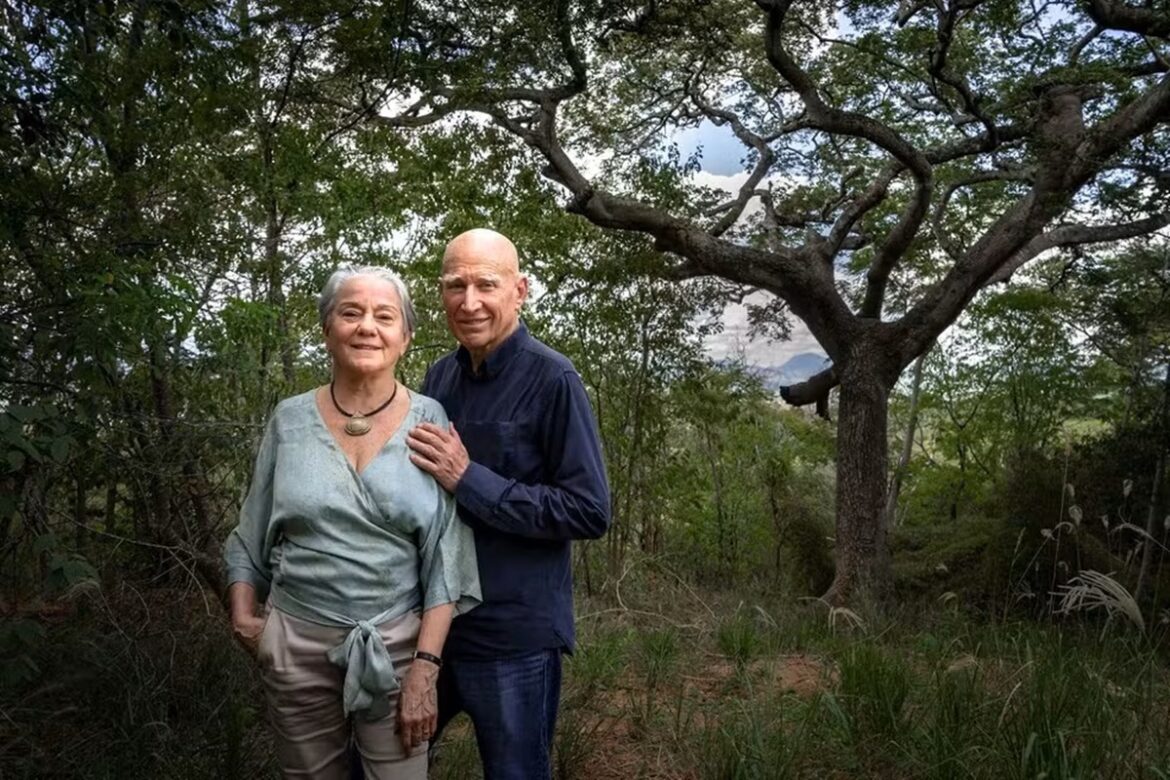A couple standing in a rainforest.