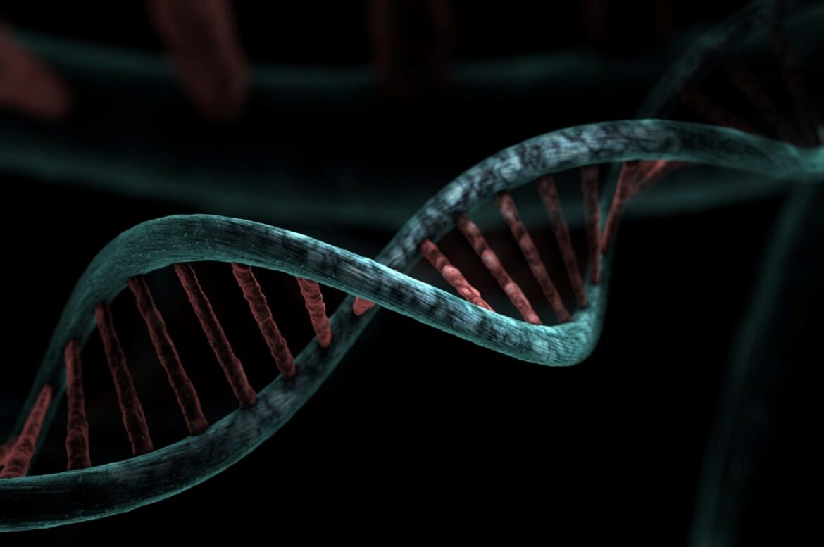 A strand of DNA.