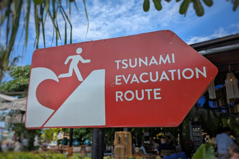 Long before signs are posted or sirens sound, animals may sense upcoming disasters in ways modern humans no longer fully understand.