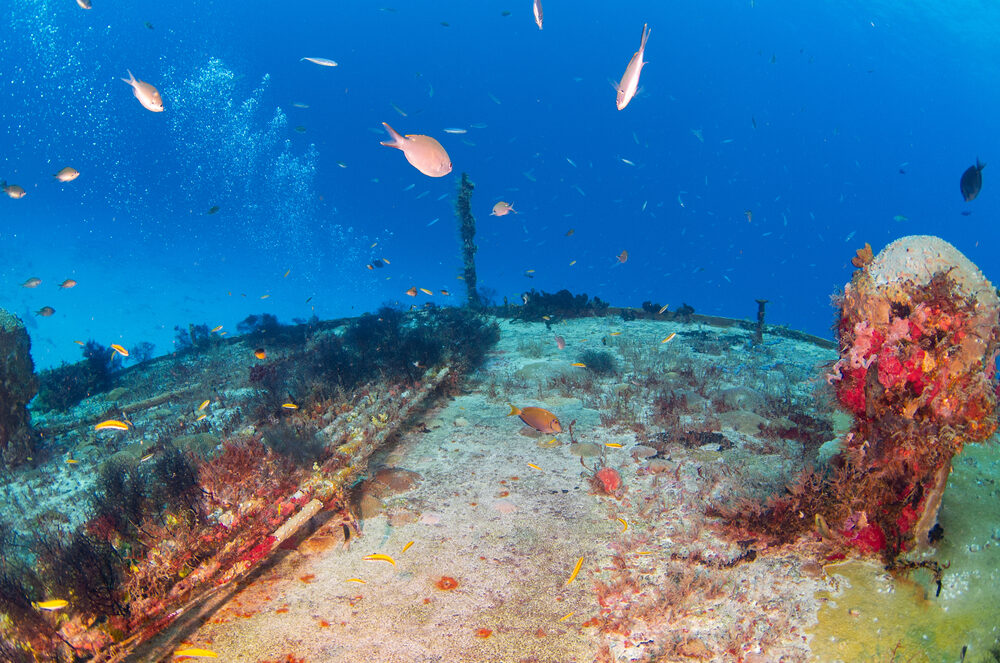 The military and strategic consequences of the disruption of undersea cables may prove even more serious.