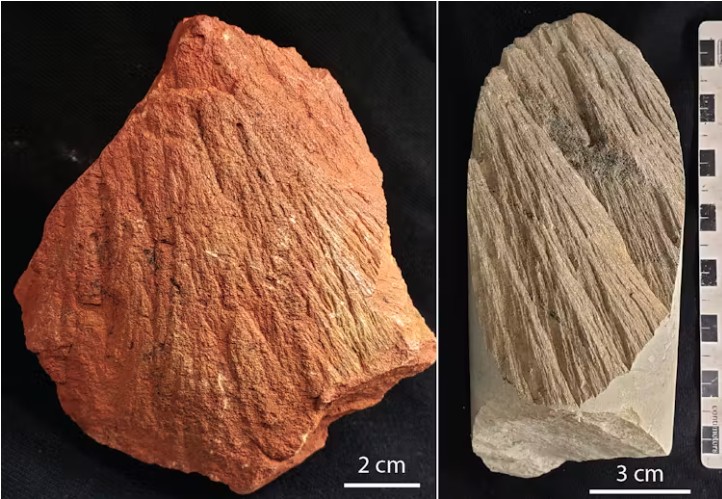Shatter cones formed in greenstones from the Ora Banda impact structure.