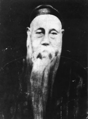 During the turbulent final decades of the Qing Dynasty, China faced profound challenges. Internal rebellions, foreign pressures, and corruption within the imperial system tested the empire's strength. Amid this uncertain era, one iron-willed statesman rose above the turmoil through his extraordinary integrity, courage, and dedication to public service. His name was Ding Baozhen (1820-1886).