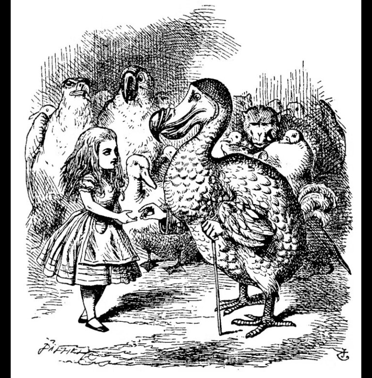 Image of Alice in Wonderland talking to the Dodo bird.