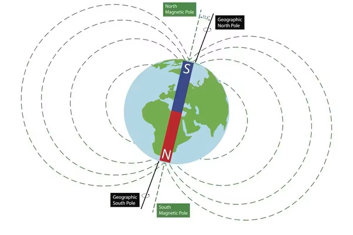 The lines of the Earth’s magnetic field come vertically out of the Earth at the south magnetic pole and go vertically down into the Earth at the north magnetic pole.