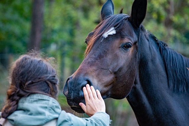 Pet-talk seems to work on horses, too.