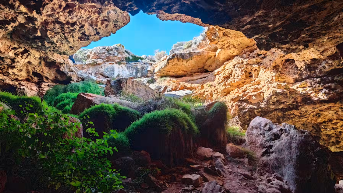 Over millions of years, water has eaten away at the limestone, creating a Swiss-cheese landscape where caves reach the surface.