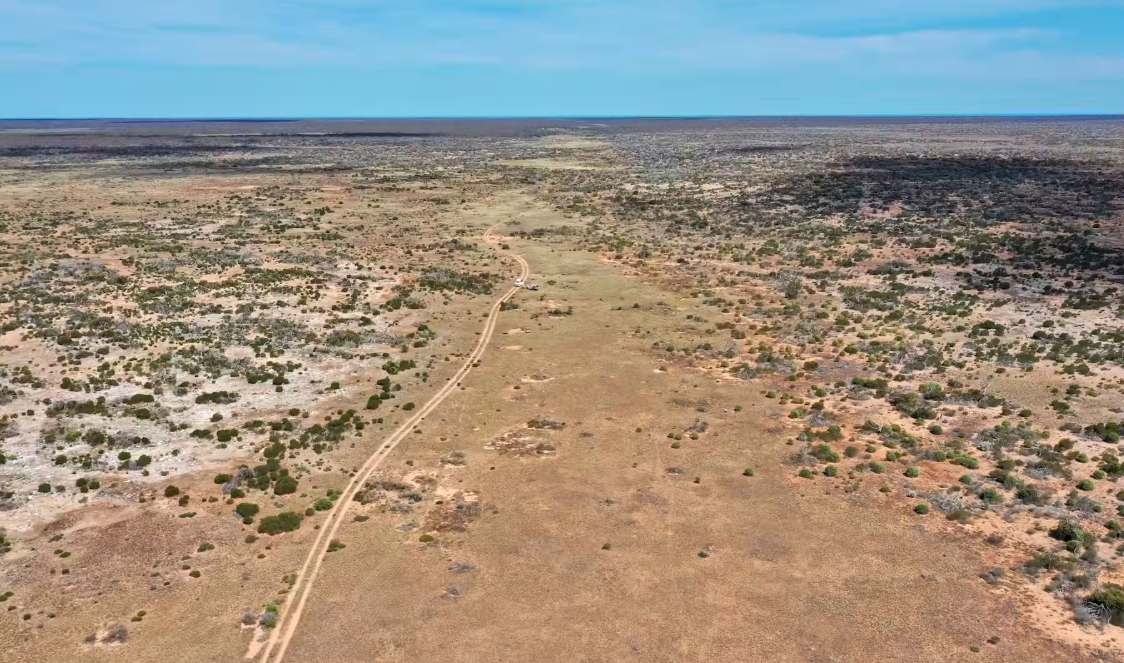 A dirt track on the Nullarbor follows one of the long, almost imperceptible, shallow, north-south sediment-filled valleys. Grayer areas on the left of the foreground represent limestone at the surface.