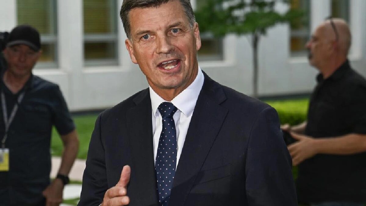 Opposition leader Angus Taylor said the Coalition had yet to see the proposal, but warned against efforts to 'censor social media.'