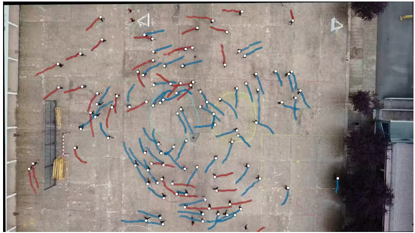 An image from one of our studies, where the general trend toward a counterclockwise spiral (in blue) can be clearly seen.