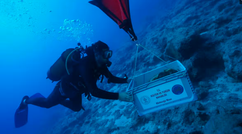 Divers transport material discovered during the research.