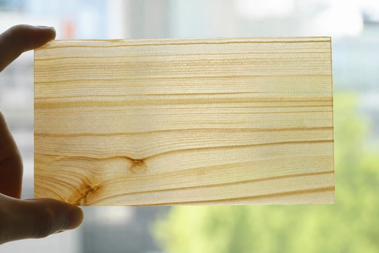 An enlarged thin slice of wood shows clear polymer filling its hollow cellulose channels while light passes through the intact grain.